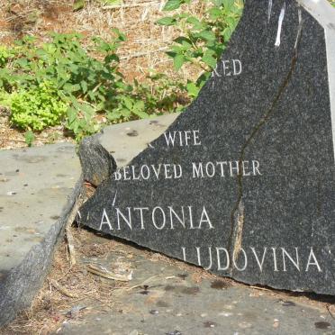 FERNANDES Antonia Ludovina 1903-1975