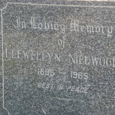 NIEUWOUDT Llewellyn 1895-1965