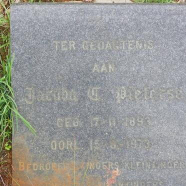 PIETERSE Jacoba C. 1893-1973