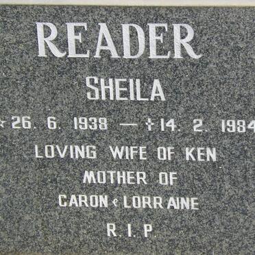READER Sheila 1938-1984