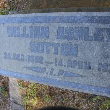 SUTTON William Ashley 1859-1938