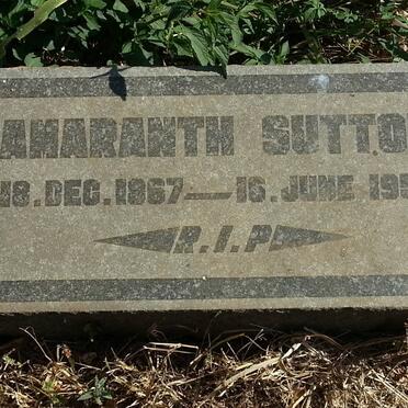 SUTTON Amaranth 1867-1950