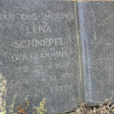 SCHNEPEL Lena nee BANNINK 1889-1970