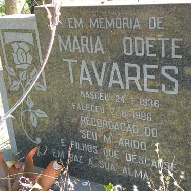 TAVARES Maria Odete 1936-1986