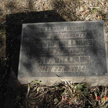 WILLIAMS David  -1900 &amp; S.F. -1934