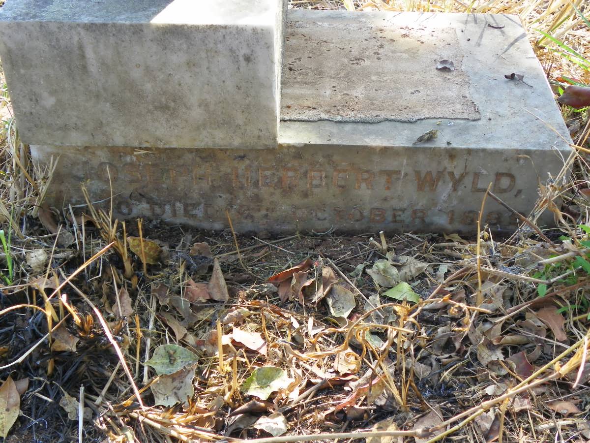 WYLD Joseph Herbert -1889