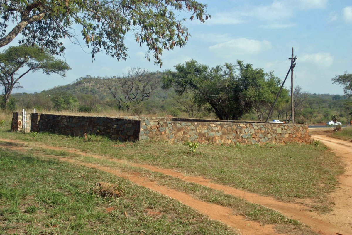 2. Overview Daisy Koppie