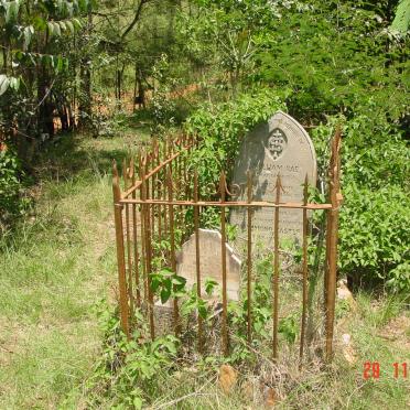 4. Overview / Oorsig