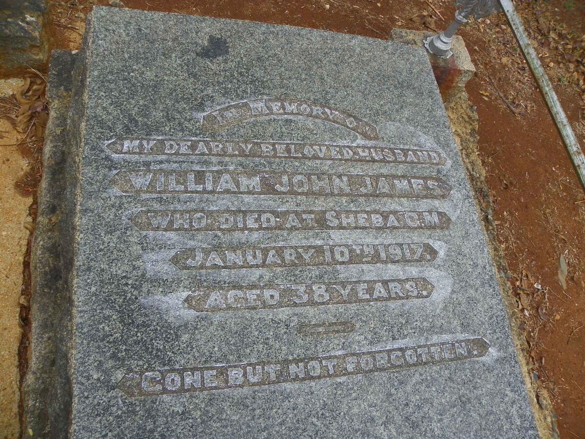 JAMES William John -1917