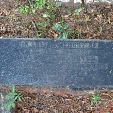 JOHNSTON George -1917