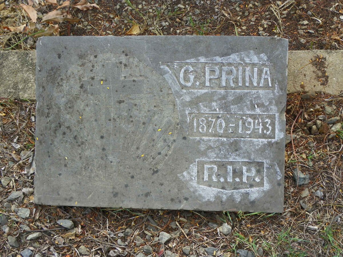 PRINA G. 1870-1943