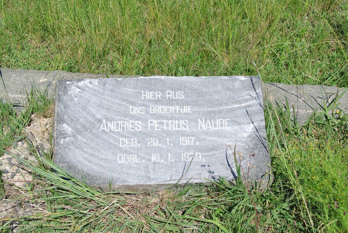 NAUDE Andries Petrus 1917-1929