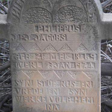 Mpumalanga, BETHAL district, Bethal, Middelkraal 50, farm cemetery