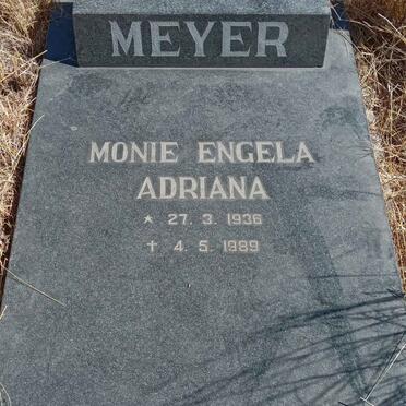 MEYER Monie Engela Adriana 1936-1989