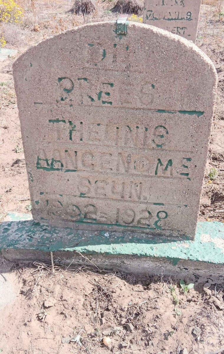 PREES Theunis, du 1902-1928