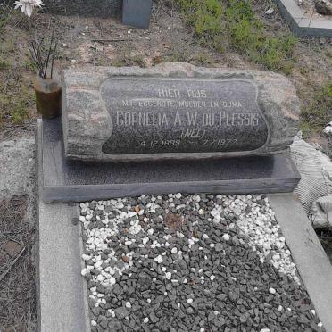 PLESSIS Cornelia A.W., du nee NEL 1899-1977