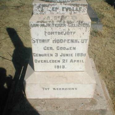 HOOGENHOUT Stinie nee GOOSEN 1890-1913