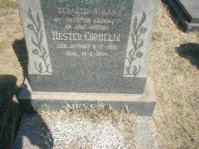 MEYER Hester Cornelia 1881-1964