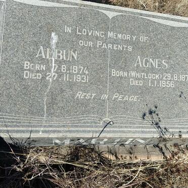 MARTIN Albun 1874-1931 & Agnes WHITLOCK 1876-1956