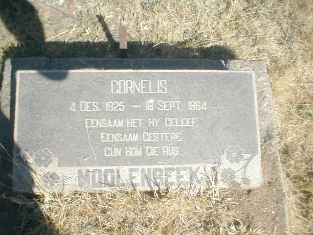 MOOLENBEEK Cornelis 1925-1964