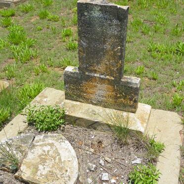 BEZUIDENHOUT ? Petrus -1923