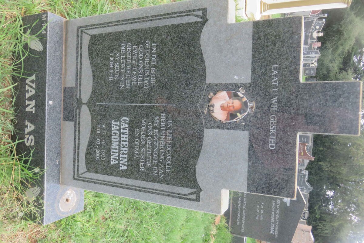 AS Catherina Jacomina, van 1933-2005