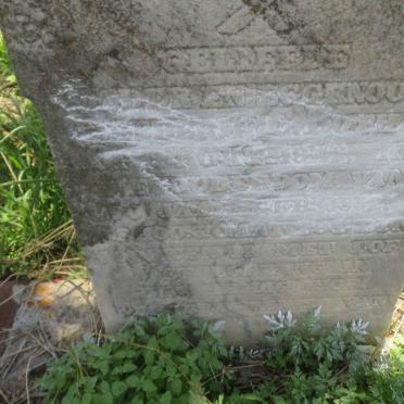 BOTHA Hendrik C. 1852-1942