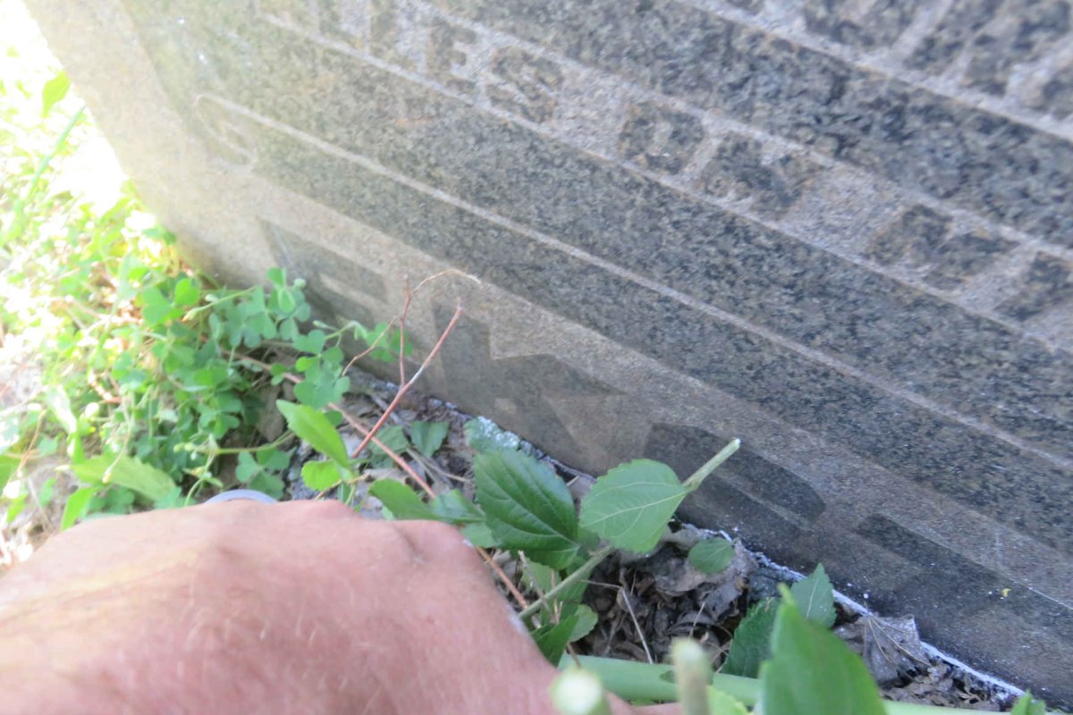 EKSTEEN Jacobus Johannes 1888-1971 & Aletta Sophia 1892-1961