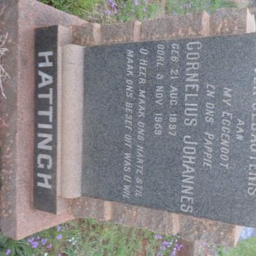 HATTINGH Cornelius Johannes 1897-1959