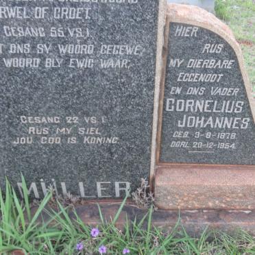 MULLER Cornelius Johannes 1878-1954 &amp; Johanna Hendrieka PRINSLOO 1885-1961