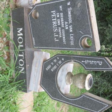 MOUTON Petrus J.J. 1958-1989