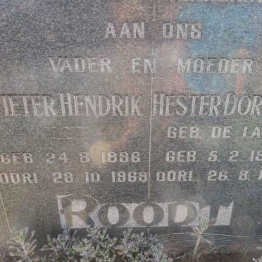 ROODT Pieter Hendrik 1886-1969 &amp; Hester Dorethea DE LANGE 1897-1931