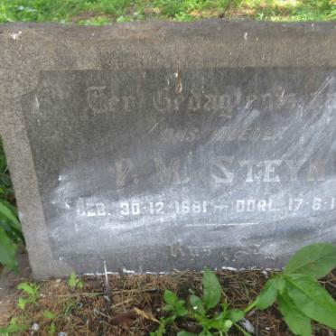 STEYN P.M. 1881-1919