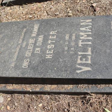 VELTMAN Hester 1902-1984