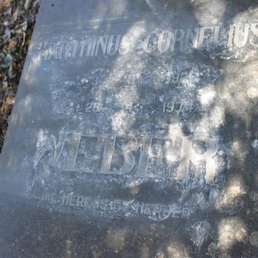 W - Surnames :: Vanne - W