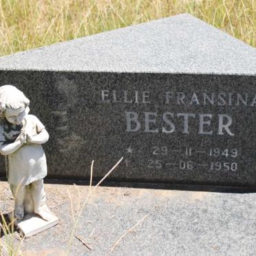 BESTER Ellie Fransina 1949-1950