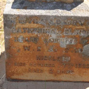 NICOLSON Catharina Elenor -1888