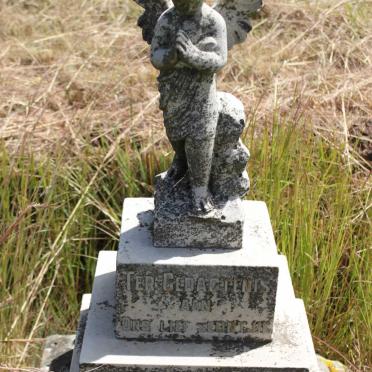 ROOYEN Edmund, van 1925-1928