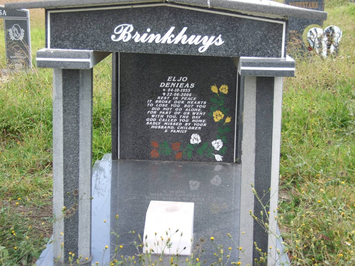 BRINKHUYS Eljo Denieas 1955-2006