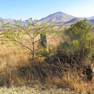 Mpumalanga, EERSTEHOEK district, Steynsdorp, Old diggers' cemetery