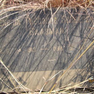 SCHEEPERS Hendrik Theodore 1913-1987