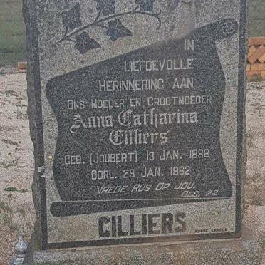 Mpumalanga, ERMELO district, Lothair, Edenvale 100 IT, farm cemetery