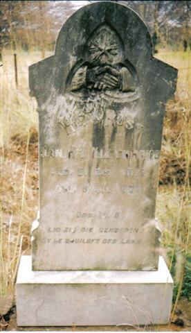 KLEYNHANS Jan H.T. 1873-1905