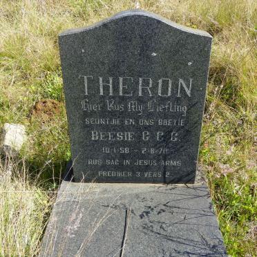 T - Vanne :: Surnames - T