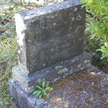 WESSELS Baba 1971-1971