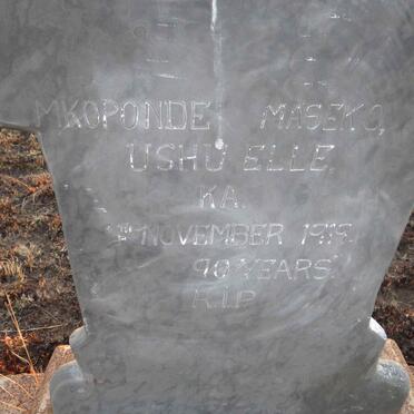 M - Surnames :: Vanne - M