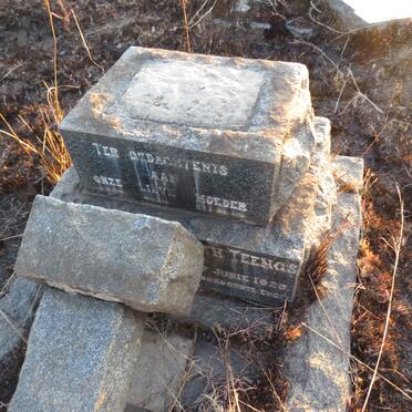 TEENGS Wilhelmina Elizabeth 1858-1925_1