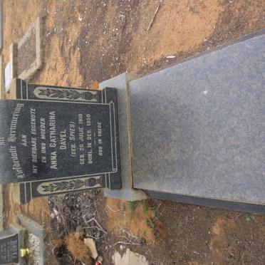 DAVEL Anna Catharina nee SPIES 1910-1950