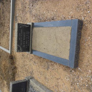 MAREE Alta 1953-1957