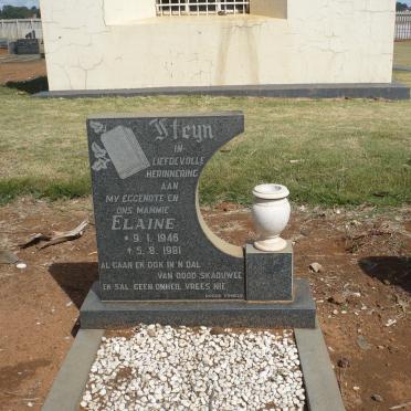 STEYN Elaine 1946-1981